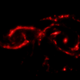 Illustration for article titled This Galactic Collision Is A Beautiful Spawning Ground For Supernovae
